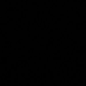 Meet your Posher, Shandra